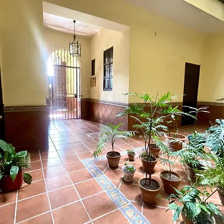 Apartment Eva Recommends Plaza De San Marcos